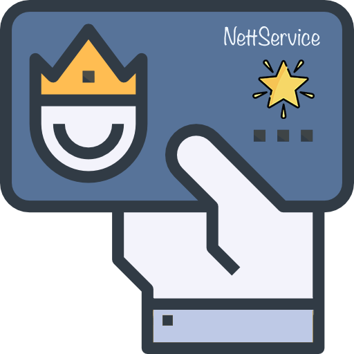 NettService: advantage of the new customer